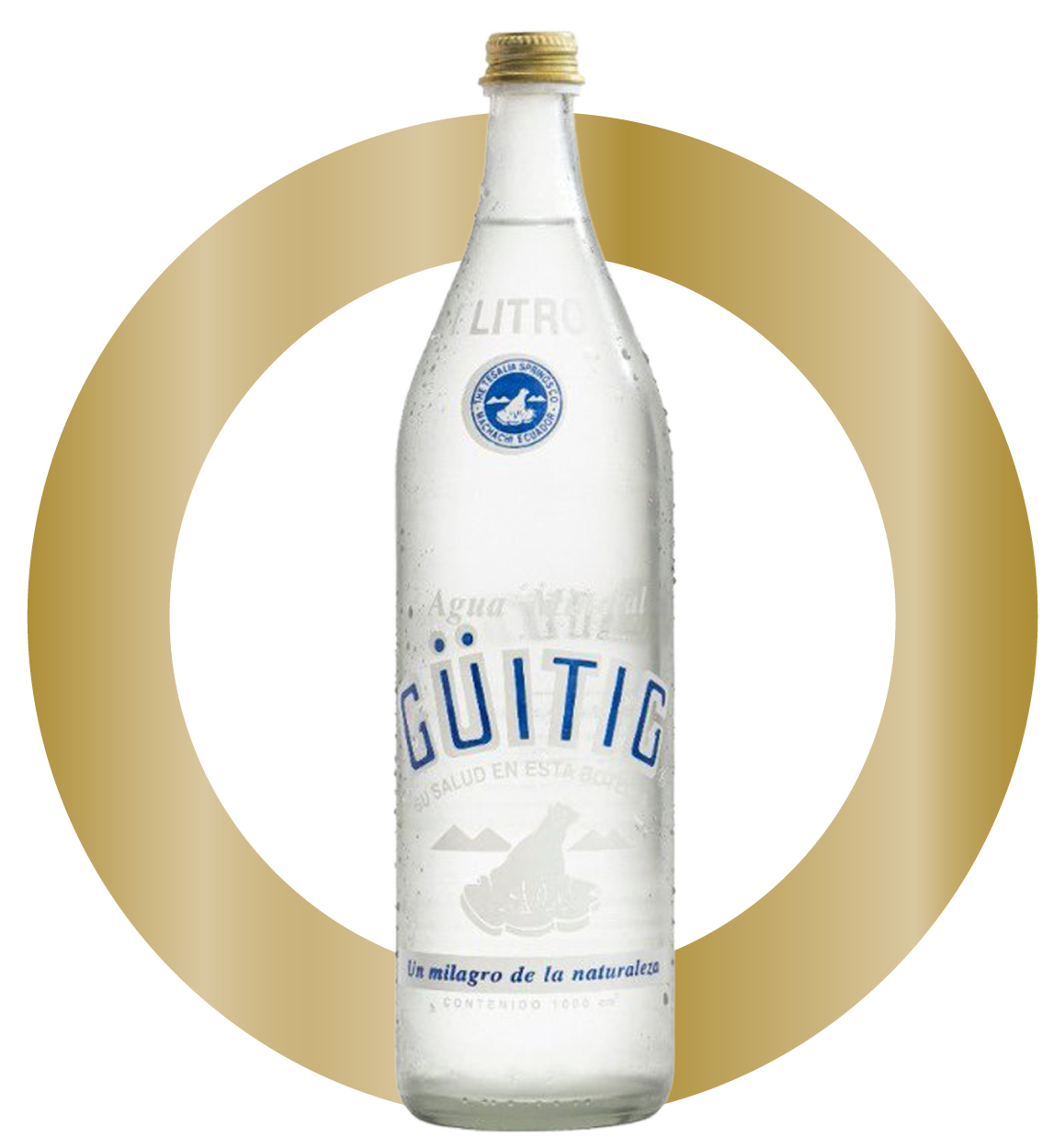 GÜITIG, 1950–1980