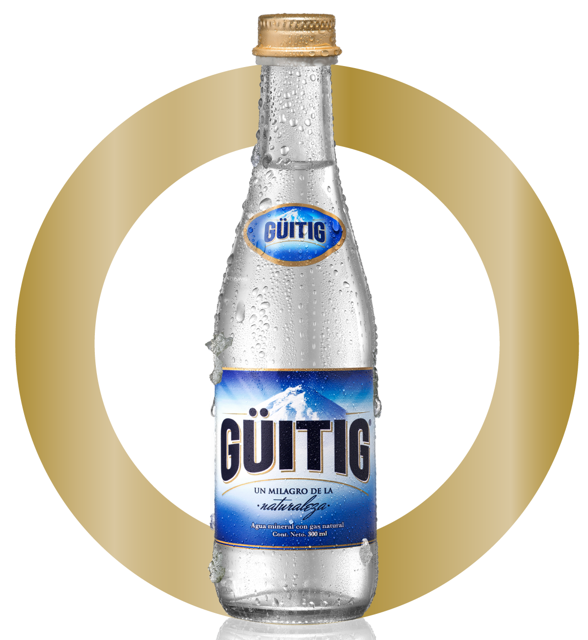 GÜITIG, 2009