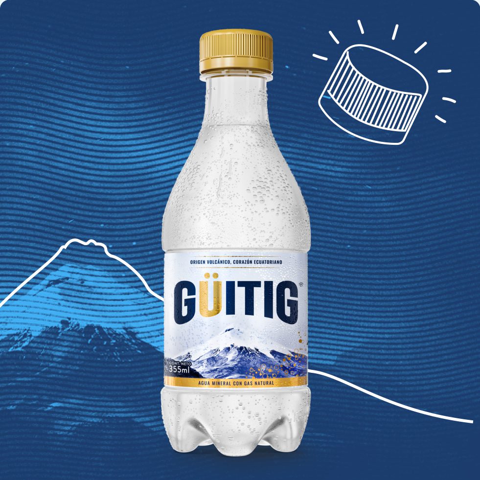 Güitig Original — Botella PET 355 ml